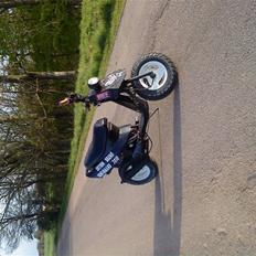 Kreidler easy rider 