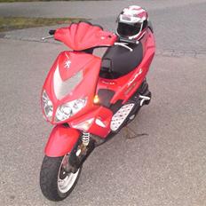 Peugeot 206 WRC - Speedfight 2