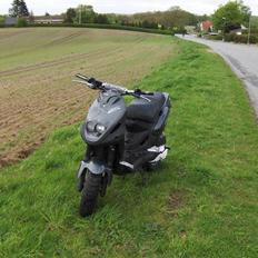 PGO Pmx Naked Carbon 