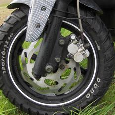 PGO Pmx Naked Carbon 