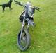 Derbi Senda sm 50 (SOLGT)