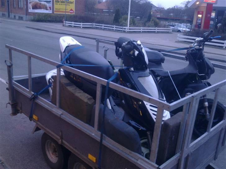 Aprilia sonic billede 9