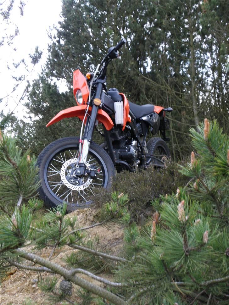 Apollo Orion   E30 SOLGT billede 1