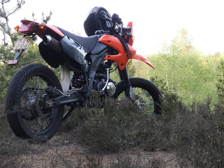 Apollo Orion   E30 SOLGT billede 2