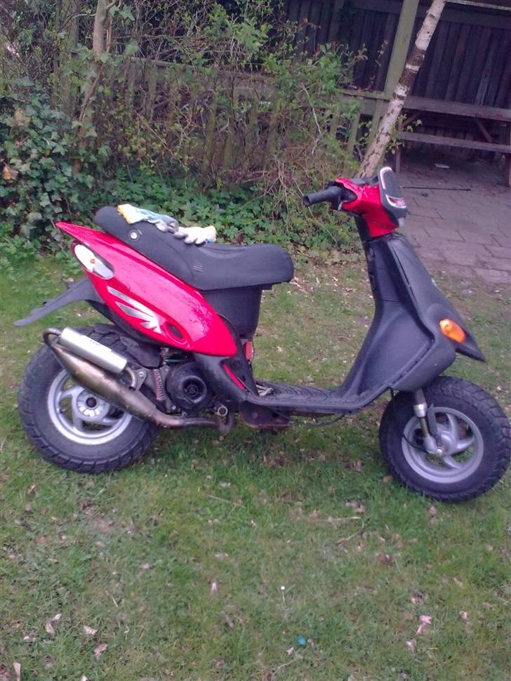 Gilera stalker byttet billede 13