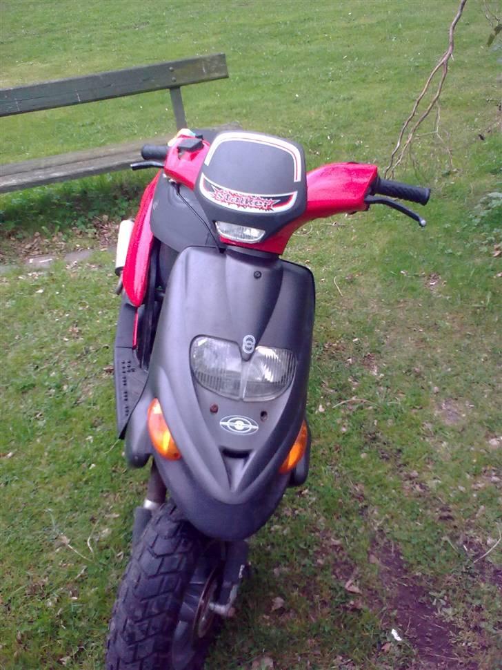 Gilera stalker byttet billede 14