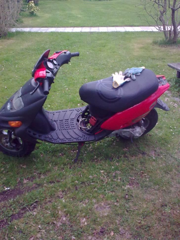 Gilera stalker byttet billede 15