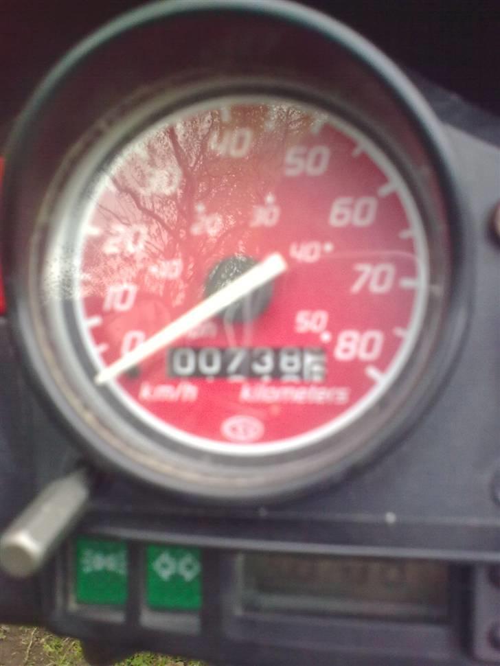 Gilera stalker byttet billede 16