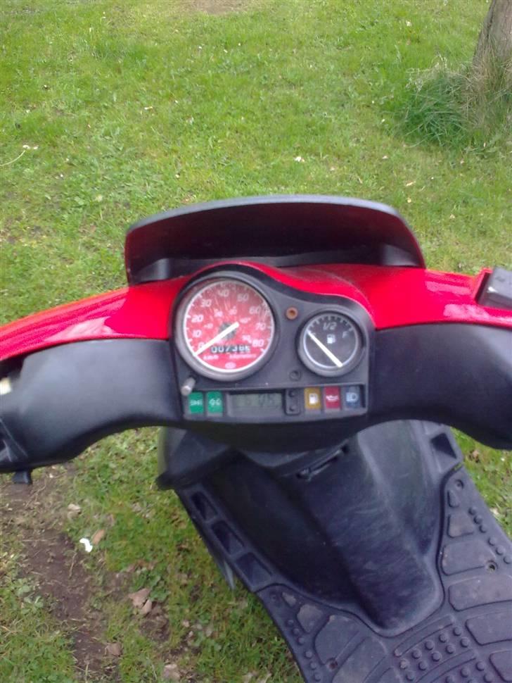 Gilera stalker byttet billede 17