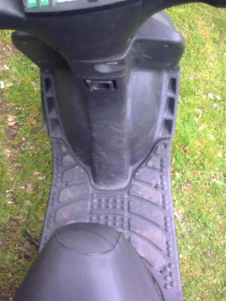 Gilera stalker byttet billede 18