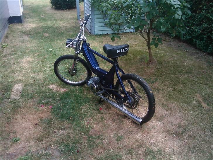 Puch Maxi billede 2
