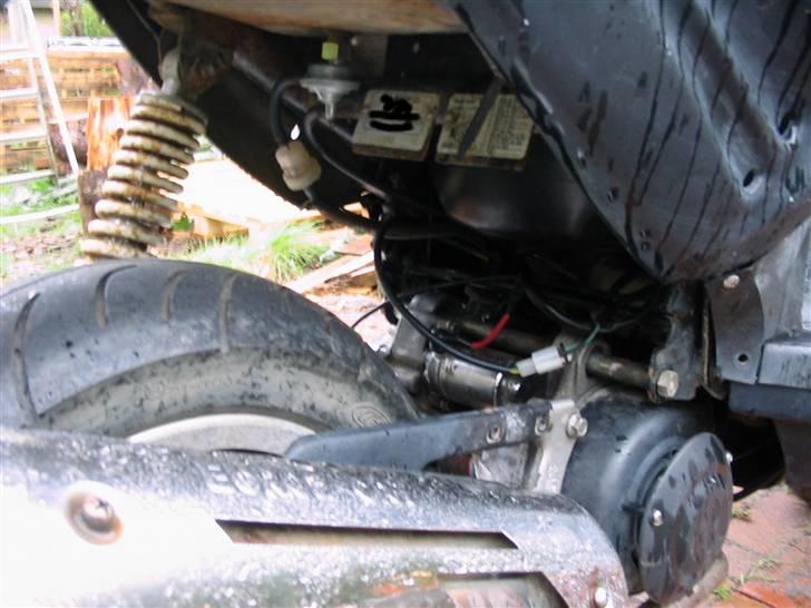 CPI hussar (SOLGT) billede 4