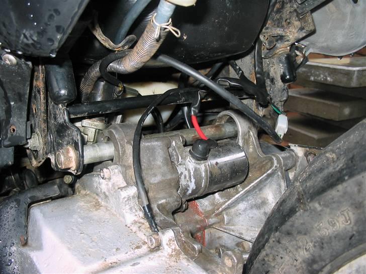 CPI hussar (SOLGT) billede 5