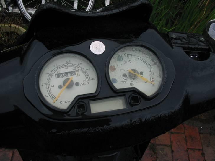 CPI hussar (SOLGT) billede 6