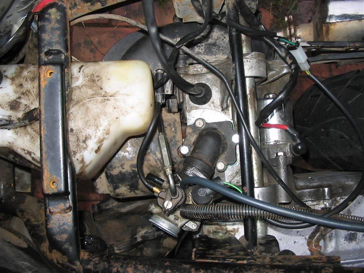 CPI hussar (SOLGT) billede 7