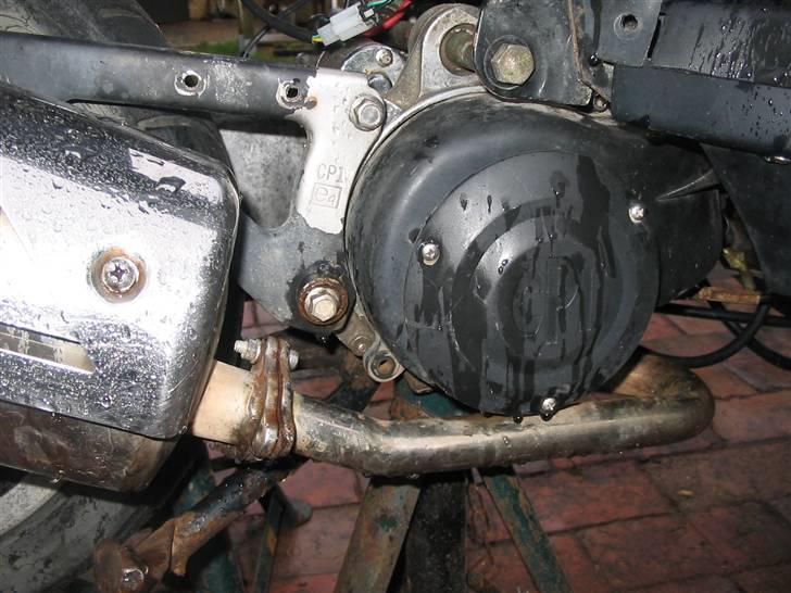 CPI hussar (SOLGT) billede 8