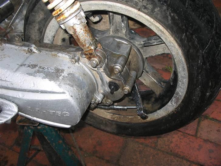 CPI hussar (SOLGT) billede 10