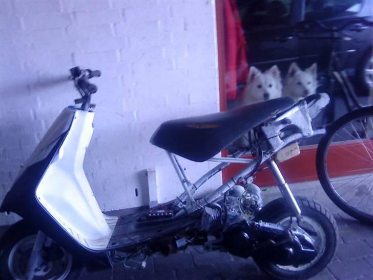 Suzuki suzuki ap50 billede 1