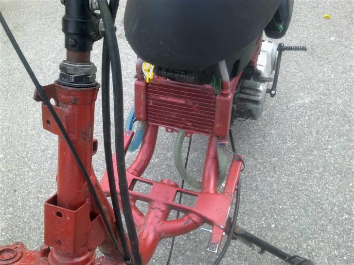 Aprilia sonic (solgt) billede 7