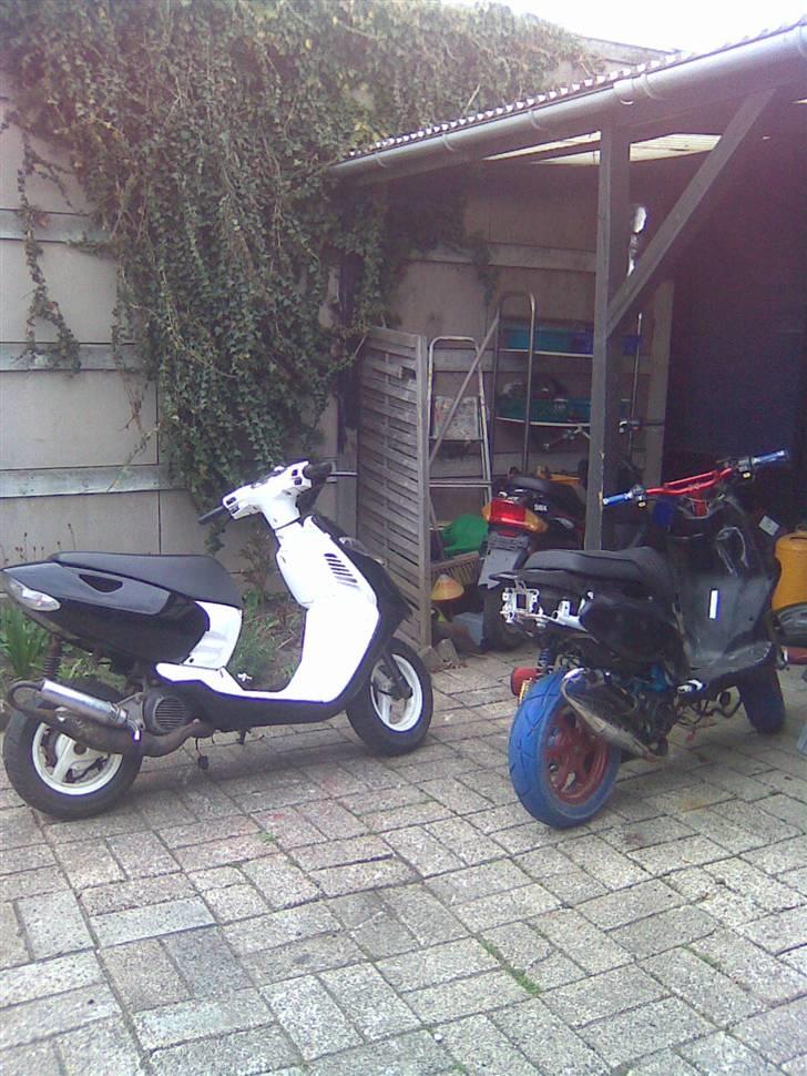 PGO pmx TILSALG billede 18