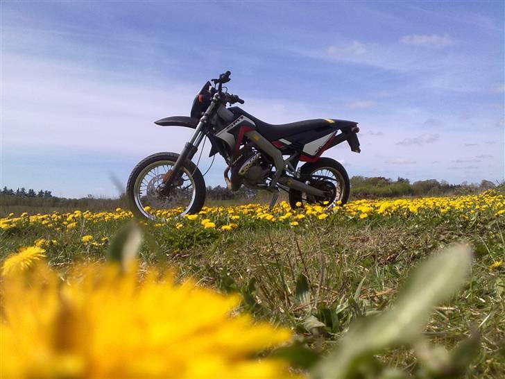 Gilera SMT 50 LC DD billede 14