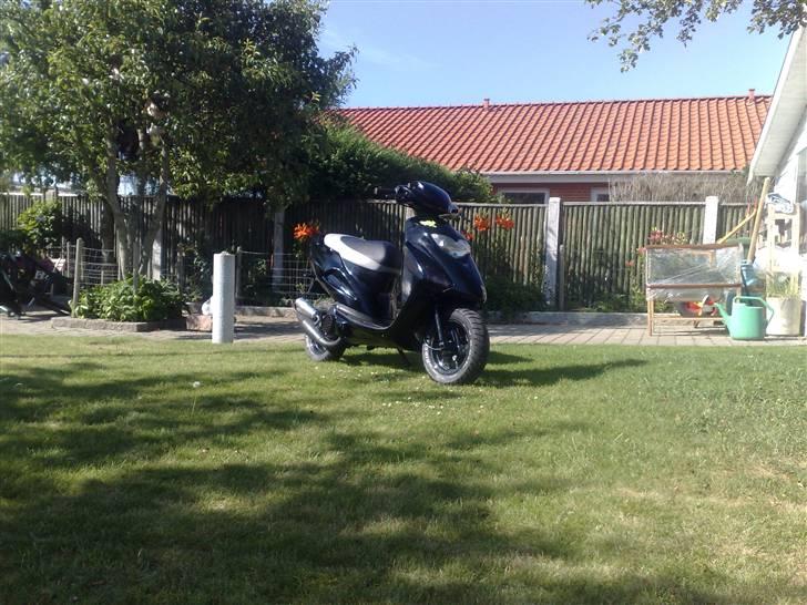 Honda Sfx - Byttet og smadret.. billede 1