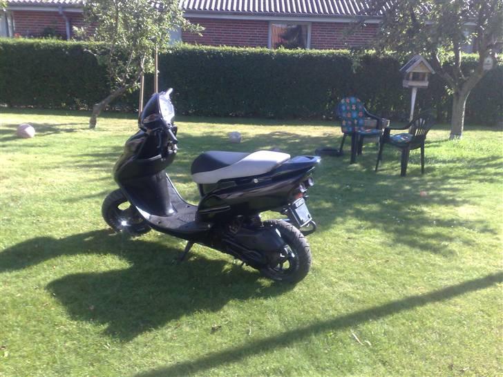 Honda Sfx - Byttet og smadret.. billede 4