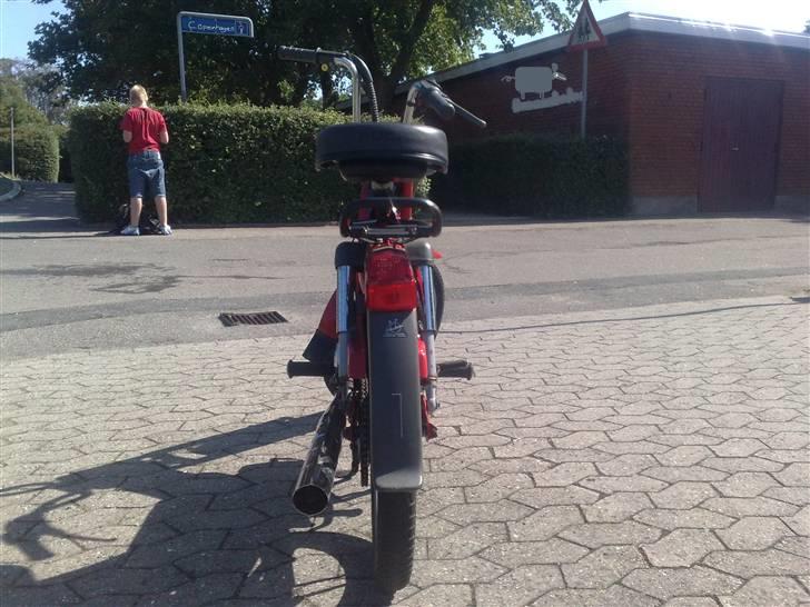 Puch Maxi P1 "SOLGT" billede 12