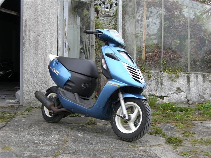 Aprilia Sonic wild beast- billede 1