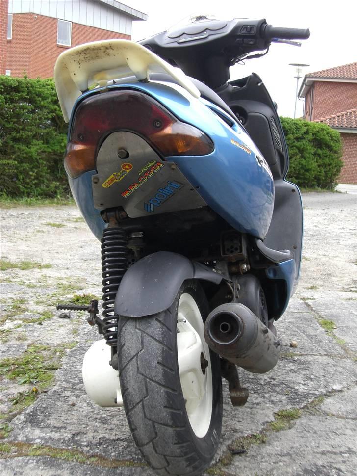 Aprilia Sonic wild beast- billede 4