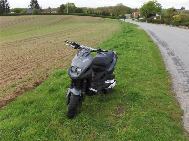 PGO Pmx Naked Carbon  billede 1