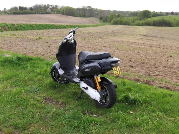 PGO Pmx Naked Carbon  billede 4