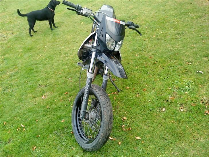 Derbi Senda sm 50 (SOLGT) billede 1