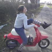 Honda Honda Melody (-;