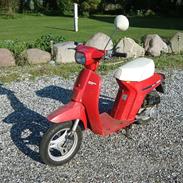Honda Honda Melody (-;
