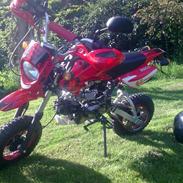 Shineray xy50