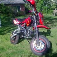 Shineray xy50