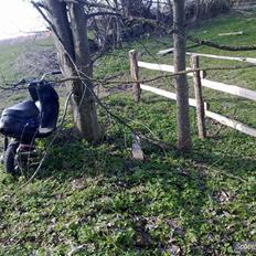 Yamaha Jog Space (byttet)