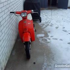 Honda Melody - SOLGT