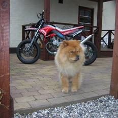 Derbi Senda 85cc > Byttet <