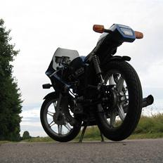 Yamaha FS1 DX Custom (SOLGT)