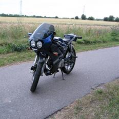 Yamaha FS1 DX Custom (SOLGT)