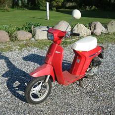 Honda Honda Melody (-;