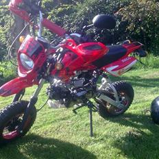 Shineray xy50