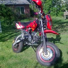 Shineray xy50