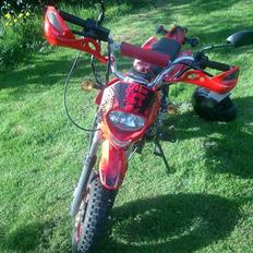 Shineray xy50