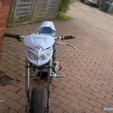 Suzuki Street Magic (VÆK)