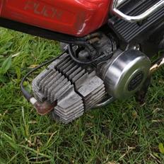 Puch maxi k SOLGT