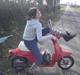 Honda Honda Melody (-;