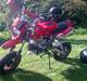 Shineray xy50